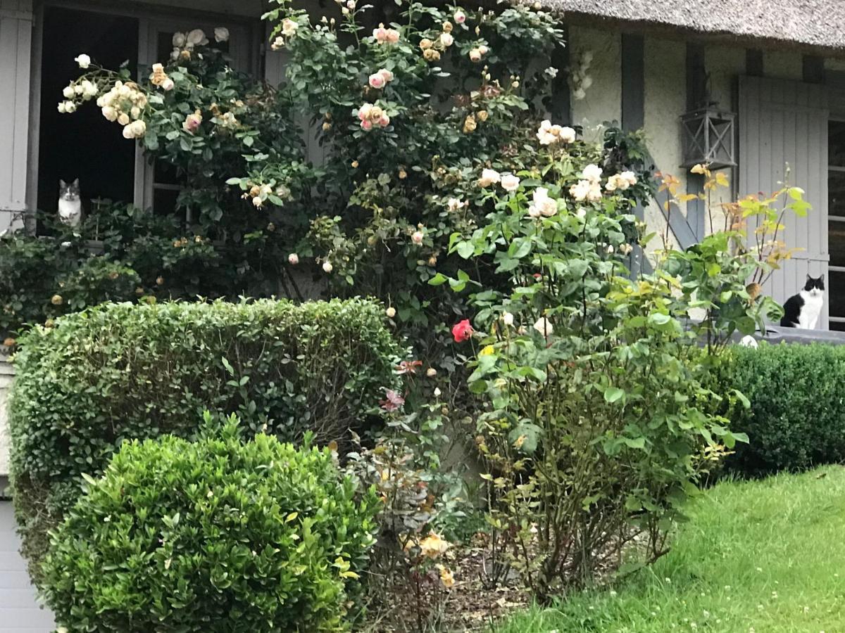 Les Chaumieres Du Pays D'Auge Bed & Breakfast Le Breuil-en-Auge ภายนอก รูปภาพ
