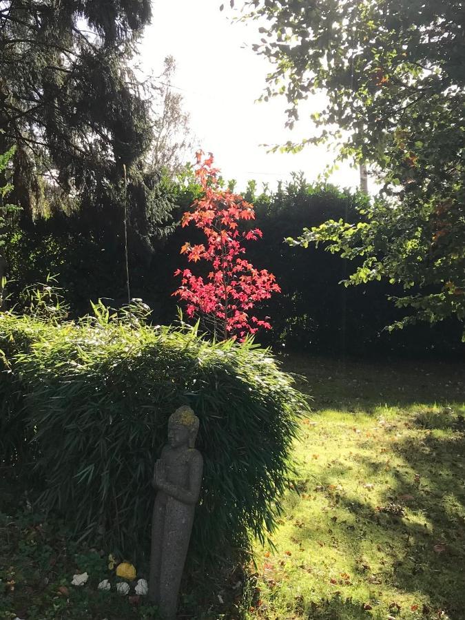 Les Chaumieres Du Pays D'Auge Bed & Breakfast Le Breuil-en-Auge ภายนอก รูปภาพ